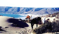 Magic of the Sahara
