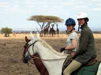 Kilimanjaro Big Game Trail