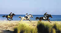 Sidi Bou Said Trail