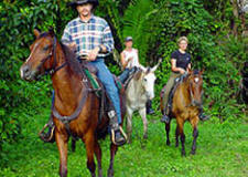Trailblazer Jungle Ride