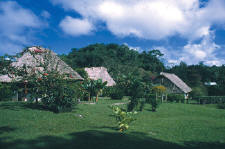 Mayan Jungle Ride with Tikal excursion