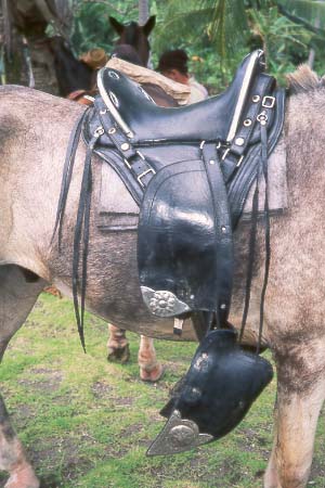 costa-rica-b-saddle-black.jpg