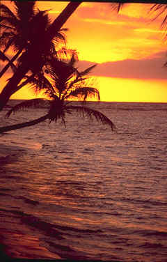 Horse riding vacations in the Dominican Republic