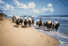 Munoz Equestrian Getaway