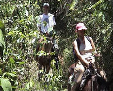 Copan to the Caribbean