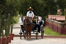 Five Haciendas Ride