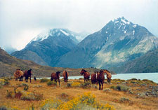 Patagonia Glacier Ride