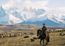 Criollos, Rivers and Lakes in Patagonia