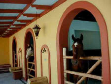 Northern Chilean Getaway