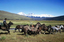 Torres del Paine - Estancias Horse Drive