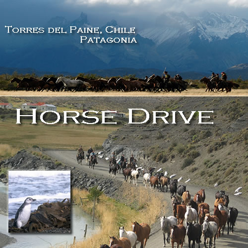 Chile - Torres del Paine horse drive with Hidden Trails
