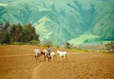 Andean Mountain Ride