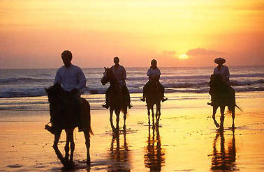 Bali on Horseback