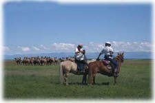 Mongolia Horse Trek in Arhangay