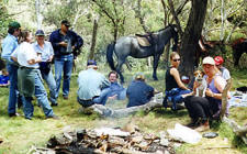 Victoria High Country Rides