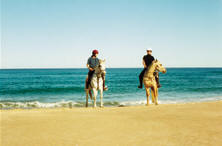 Comboyne Plateau and Beach Ride
