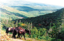 Parc Massif du Sud Ride