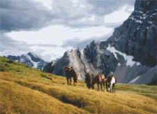 Palliser near Pass