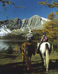 Autumn Riding