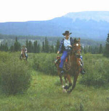 enjoying a nice canter