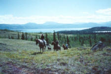 On a trail ride in the Yukon with Yukon Horsepacking Adventures.