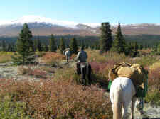 Yukon Wildlife Safari on Horseback