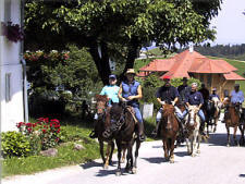 Innviertel Woodlands Ride