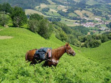 Pyrenees Border Trail