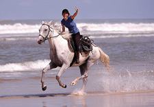 Cote d'Argent  Ride