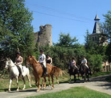 Chateau Equestrian Escape in Southern France