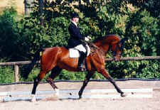 Ira Pape with Matheus and Velur in M und S-Dressage