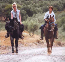 Crete Explorer Ride