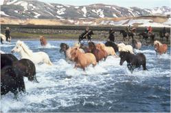 Iceland Special
