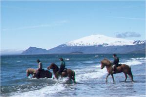 Snaefellsnes Beach Ride