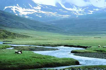 Northern Elves Trail