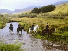 Trail Riding