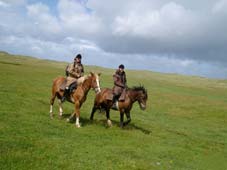 Self led Trail Riding