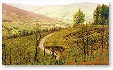 Slieve Bloom Mountains.