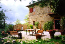 The front
