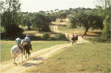 Royal Horse Trails