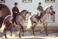 Alto Alentejo Riding Escape