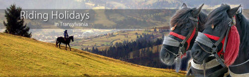 Riding Holidays in Transylvania - equestrian tourism in the land of Dracula