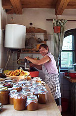 Making apricot jam - S.Prior