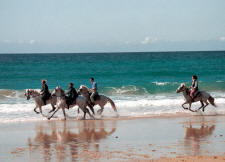 BeachCanter