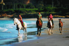 BeachrideWithFoal