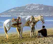 Sable d'Or - Southern Morocco