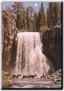 John Muir Getaway Pack Trips