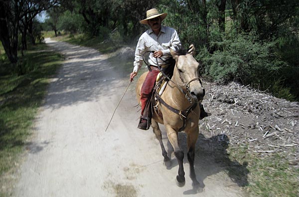 Riding at Hacienda Sepulveda
