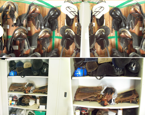 Tack room at the Chianti Trail riding center