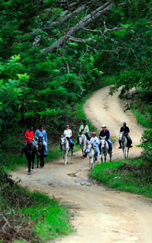 On Horseback in Mexico with Hidden Trails